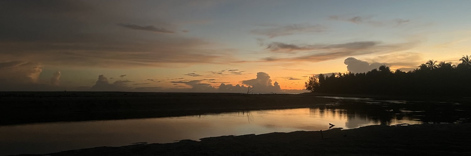 mcvie's profile banner image