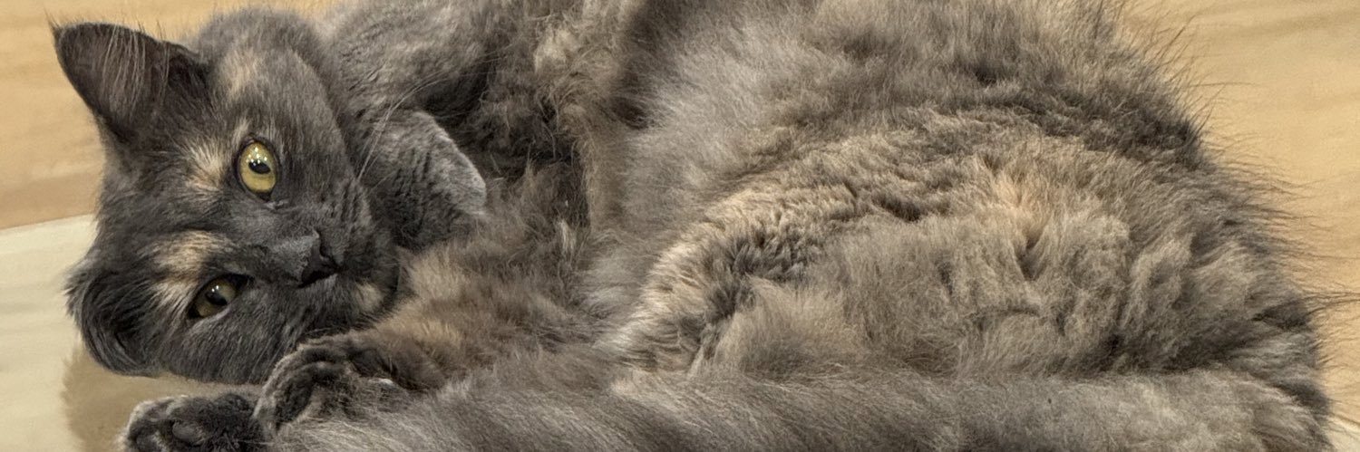 thyagosocrates's profile banner image