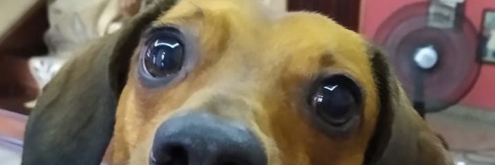 Almir_Cesar83's profile banner image