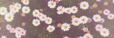 vsalles_'s profile banner image