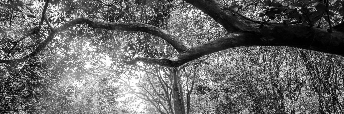 james_salento's profile banner image