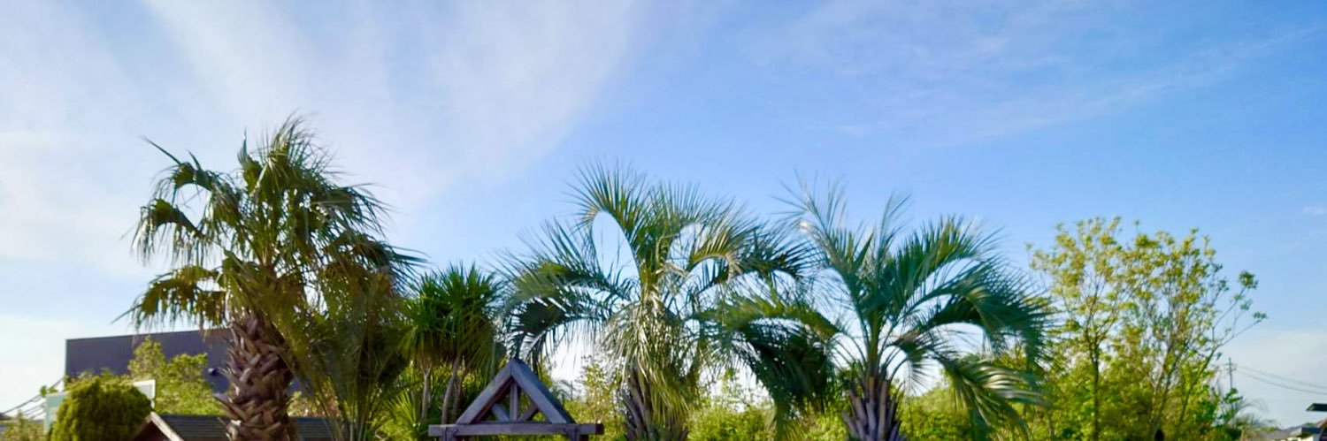 🌴Niu🌴 banner