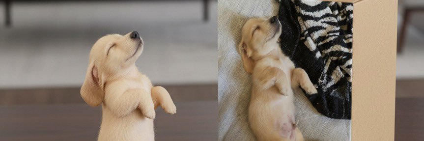 犬小屋▼･ω･▼半世紀少年😷 banner