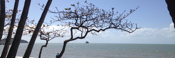 AngieJEllis Profile Banner