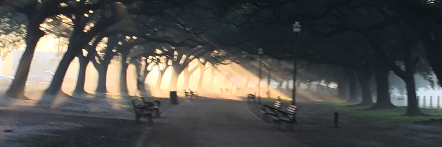 mdelangel's profile banner image