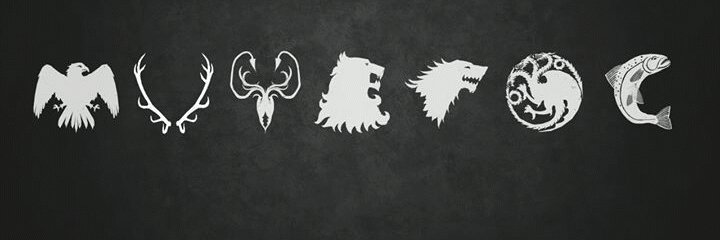 S banner