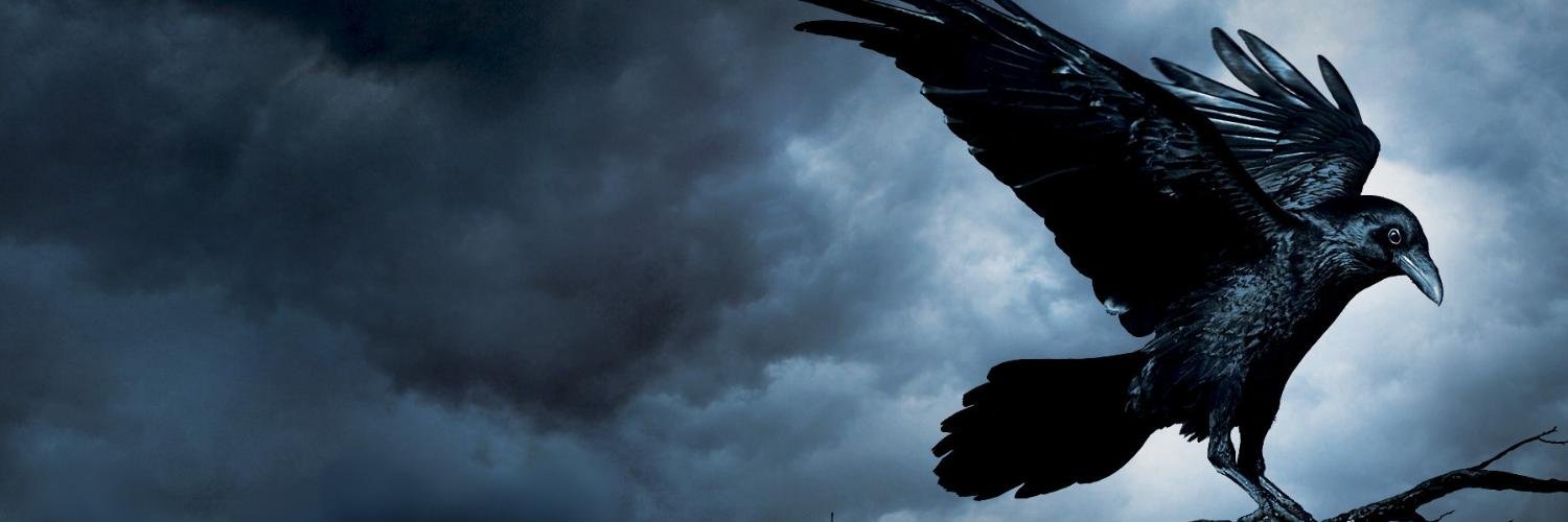 danielastronger's profile banner image