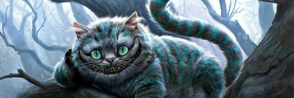 O Gato - só mais um no X pra tretar 🫵 banner