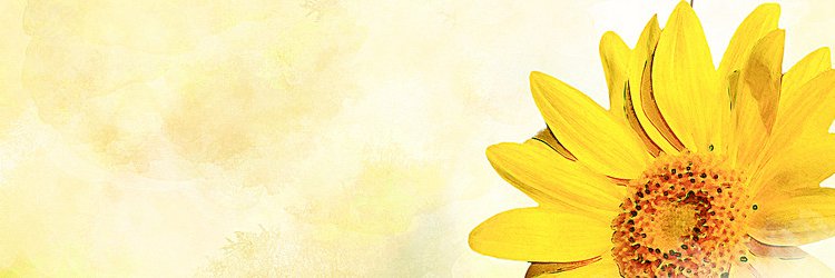 Liivia_Barbosa's profile banner image