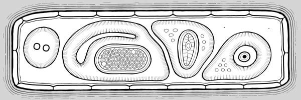 golan Profile Banner