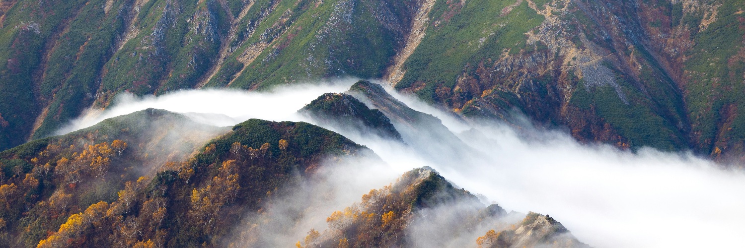 Jonathan.swift banner