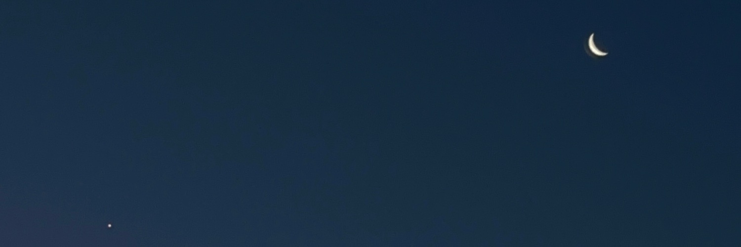 foragene's profile banner image