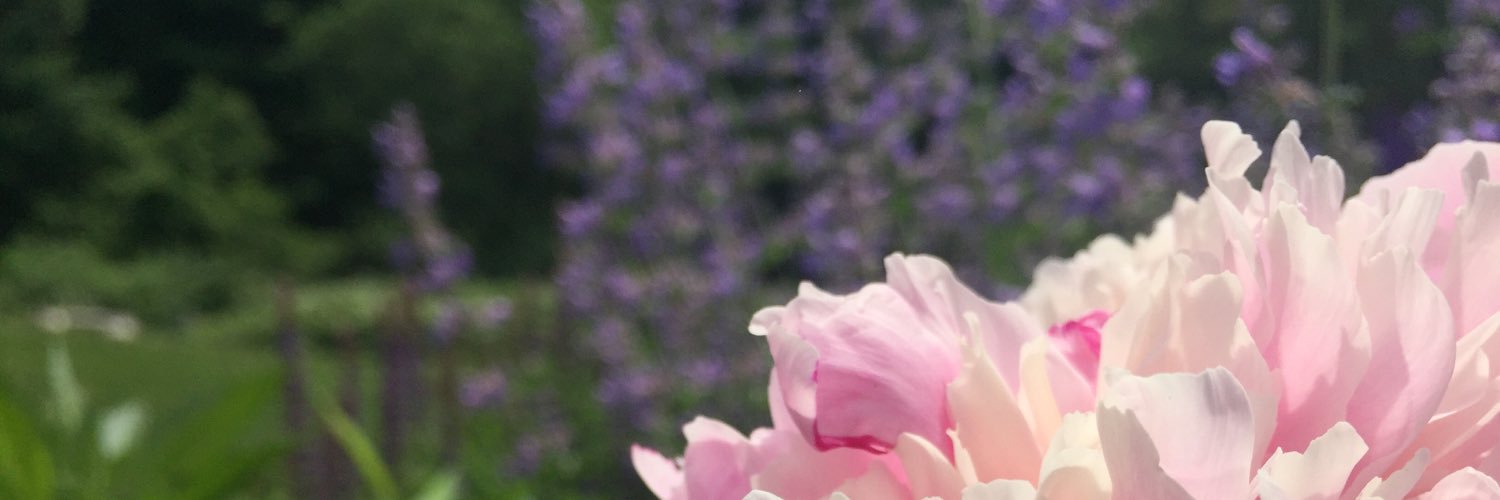 EricarIson's profile banner image