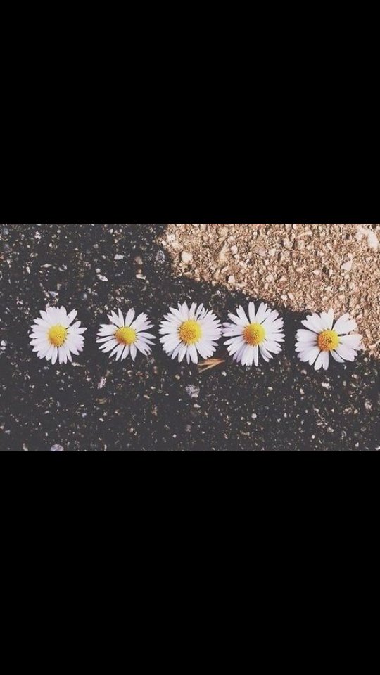jessistonem's profile banner image