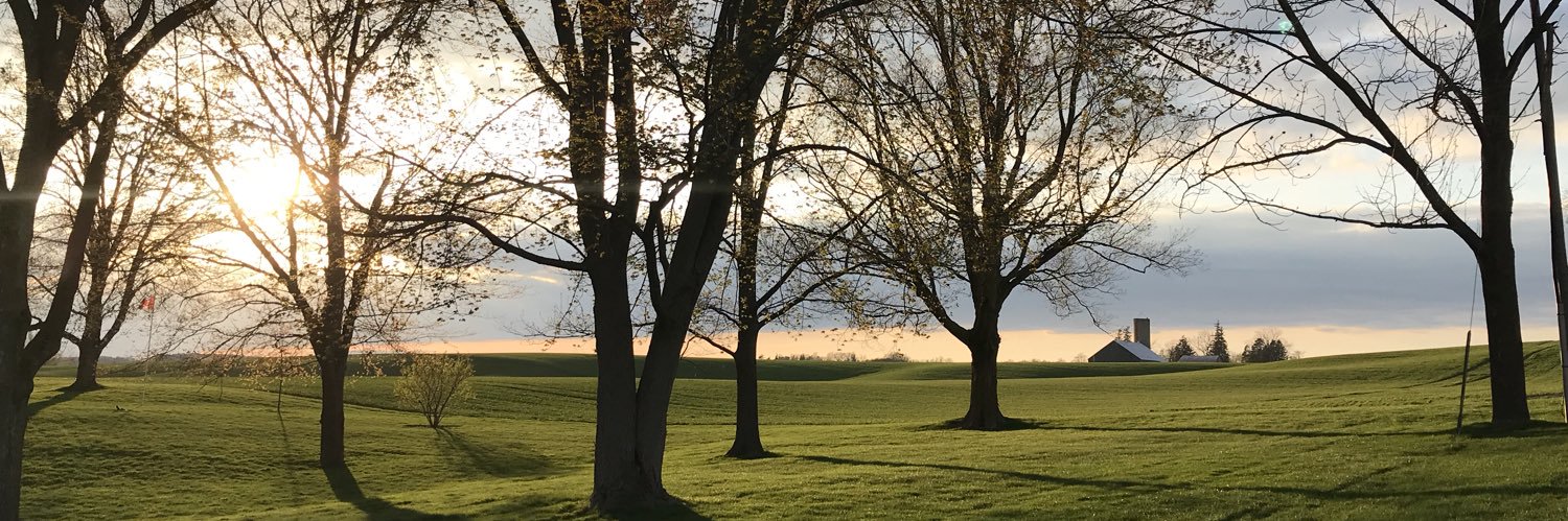 queengrnbean's profile banner image