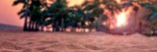 WhoTheFIsAly's profile banner image