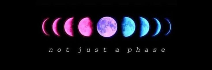 MistyRotten's profile banner image
