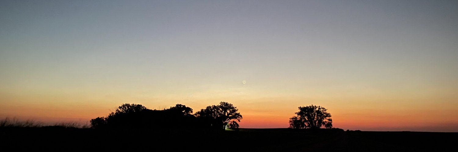 mfreeman451's profile banner image