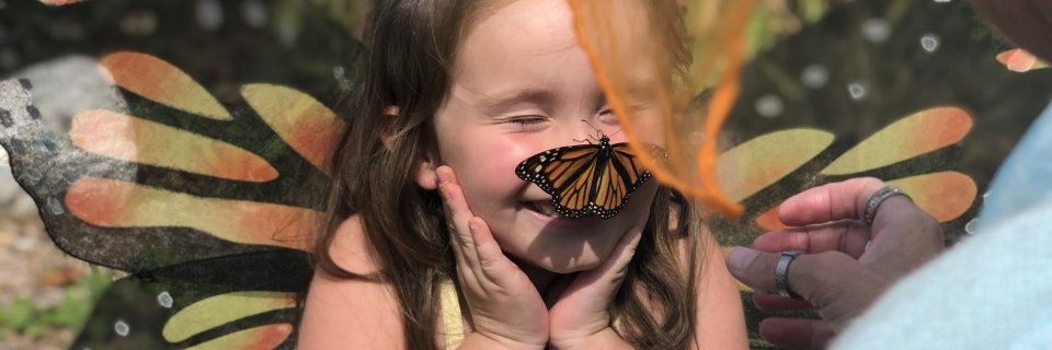 stephhneville's profile banner image