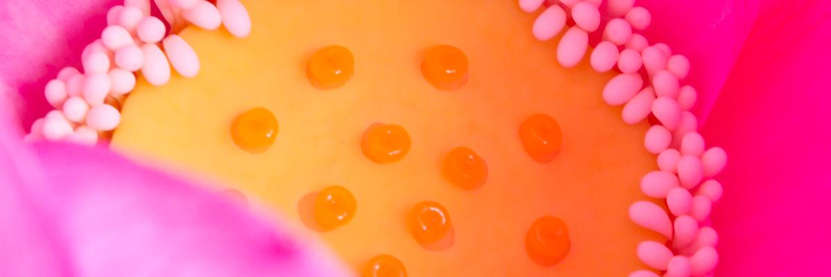 odekochannel's profile banner image