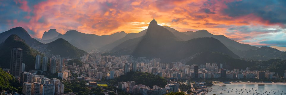 The Brazil Institute's banner