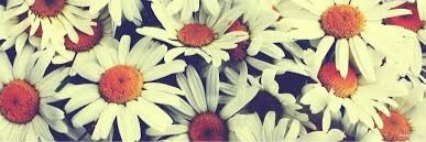ElizabethCauley's profile banner image
