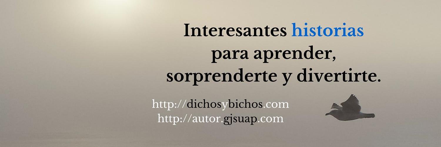 Gonzalo J. Suarez P.'s banner