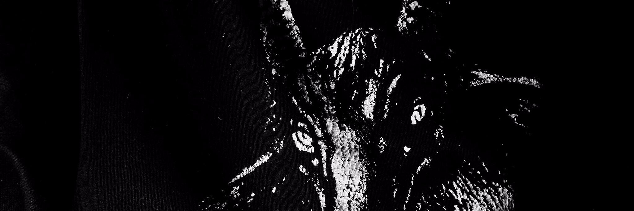 BN13Photography's profile banner image