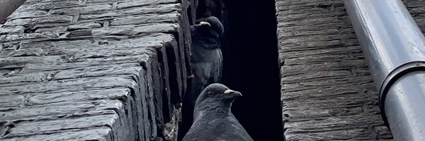 mathys Profile Banner