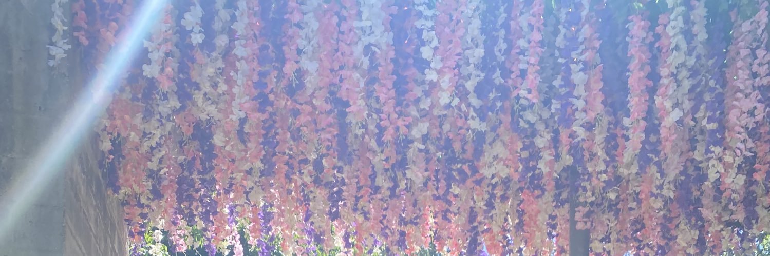Lr96's profile banner image