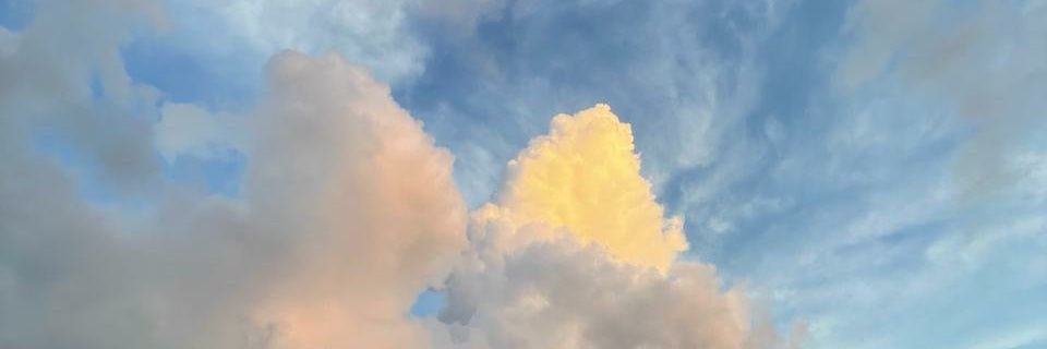 youronlytha88_'s profile banner image