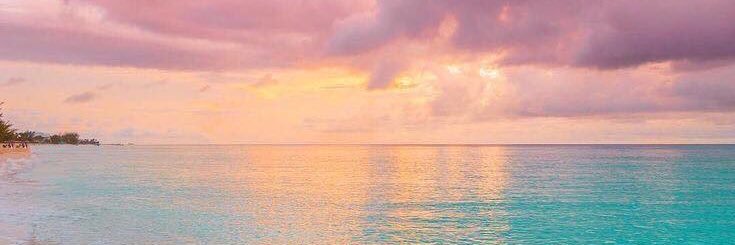 pinkxim's profile banner image