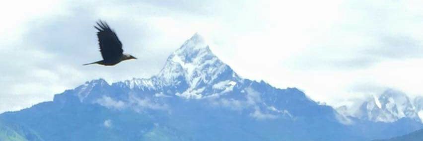 pankaj0213's profile banner image