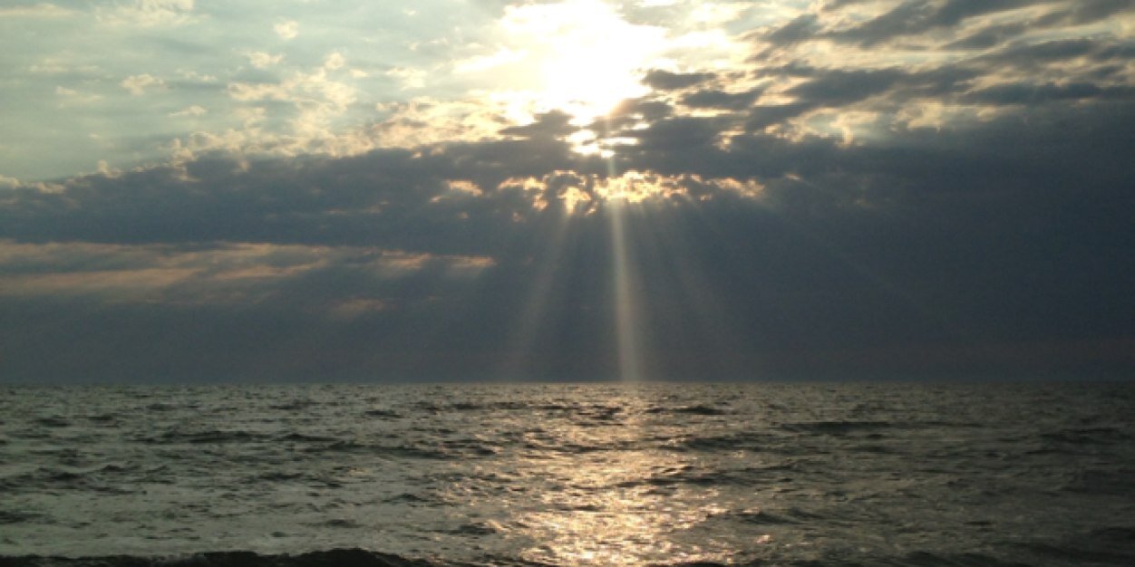 SunniThePhoenix's profile banner image