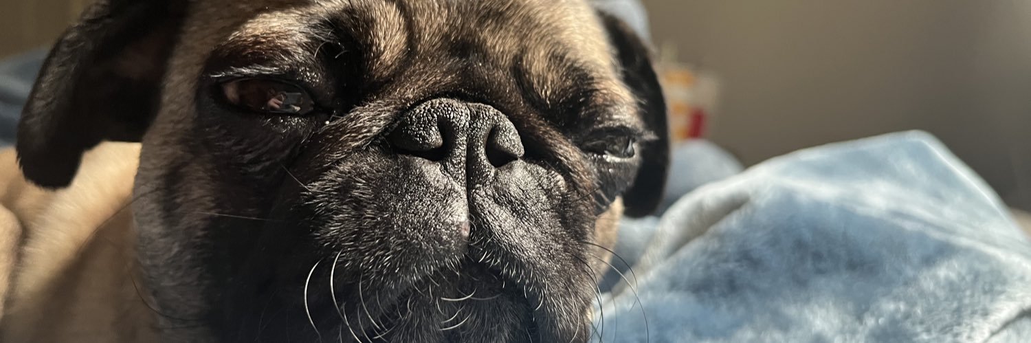 Big Bitch 🥵 banner