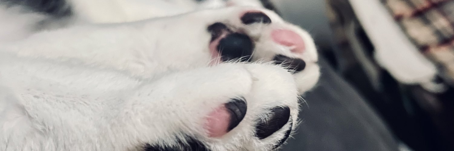 AdrianneMariee's profile banner image