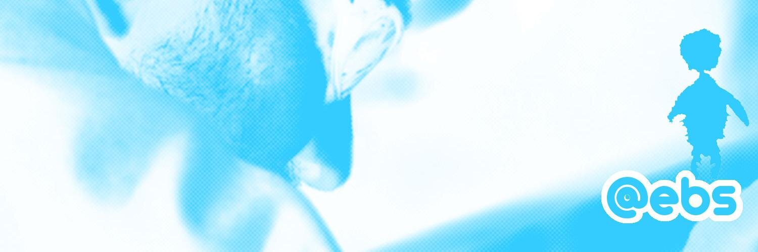 Bernd Eberwein banner