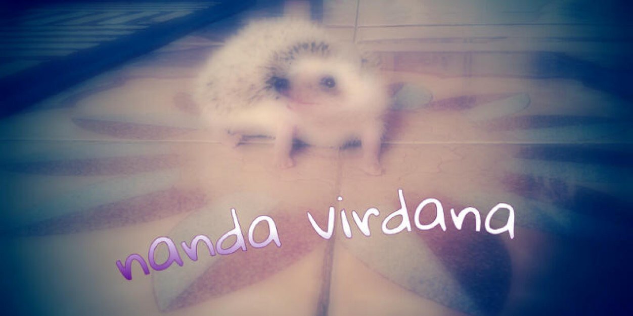 Nanda A Virdana S banner