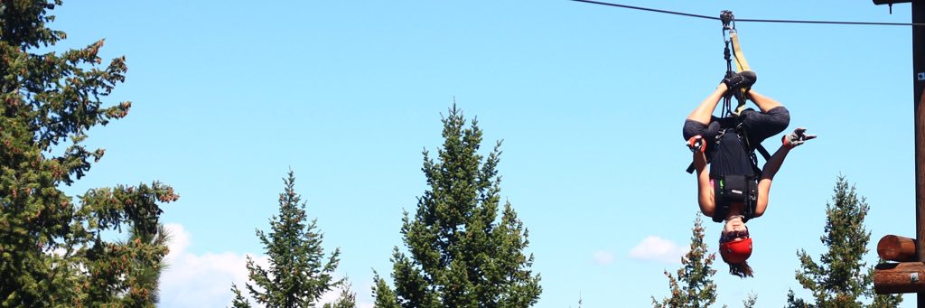 Stephanie Gerk banner