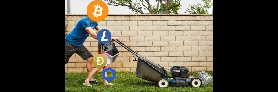 Crypto_Dad_Life's profile banner image