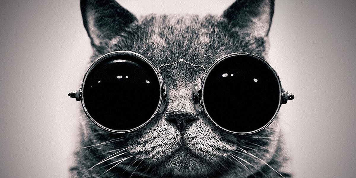 sahamitty's profile banner image