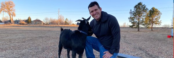 quirkyllama Profile Banner