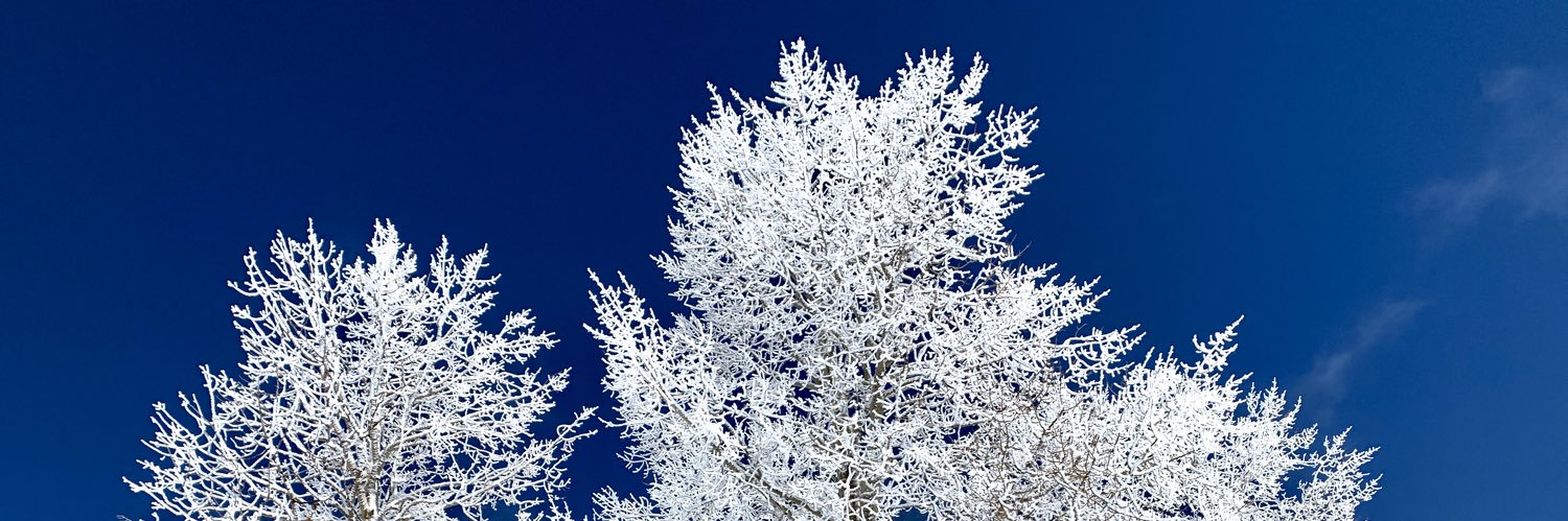 Umbarger_12's profile banner image