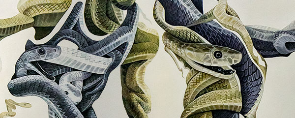 bktheartist's profile banner image