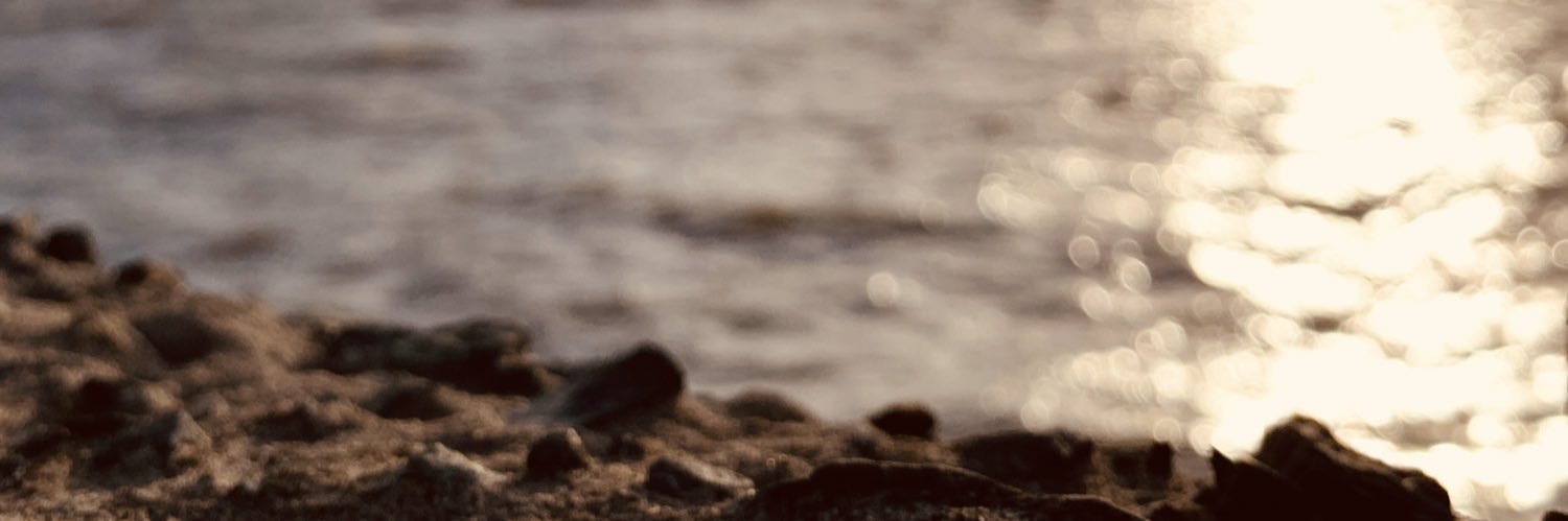 alzer_zero's profile banner image
