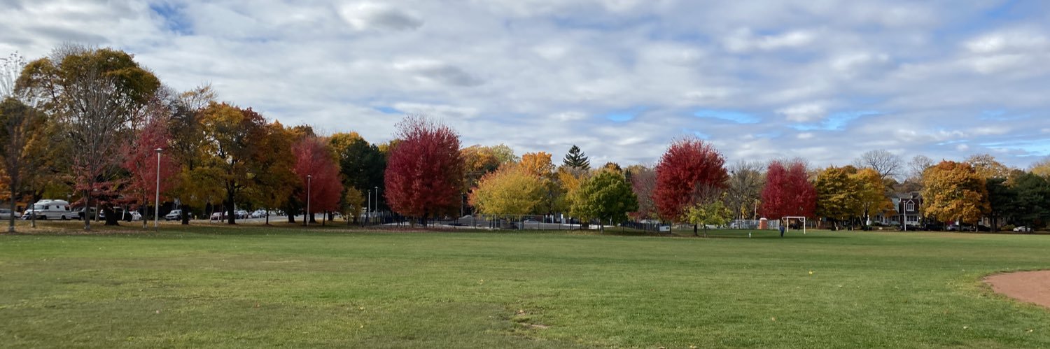 Mathieu Alepin banner