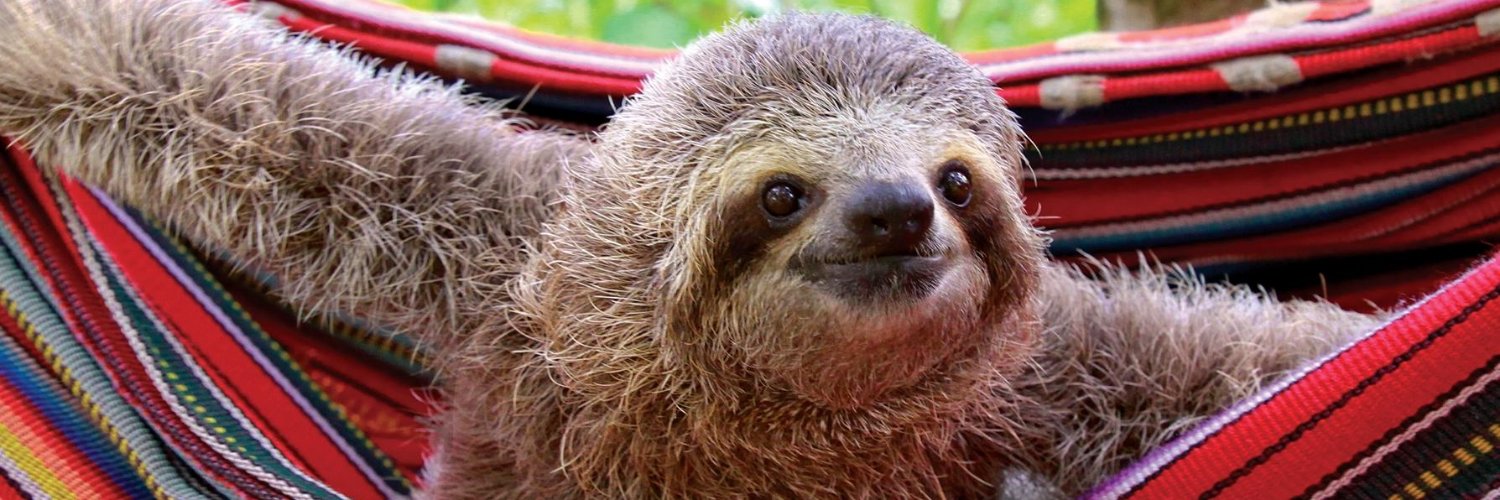 HardstyleSloth 🦥 banner