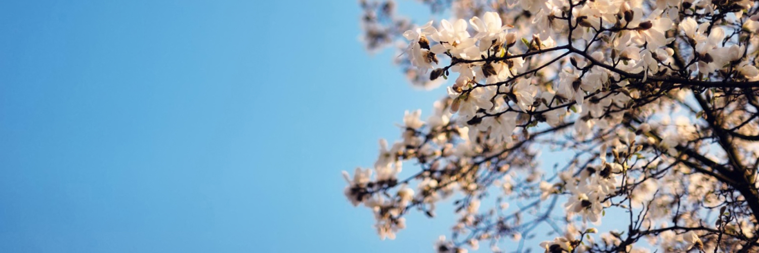 Christopher M. Davidson banner