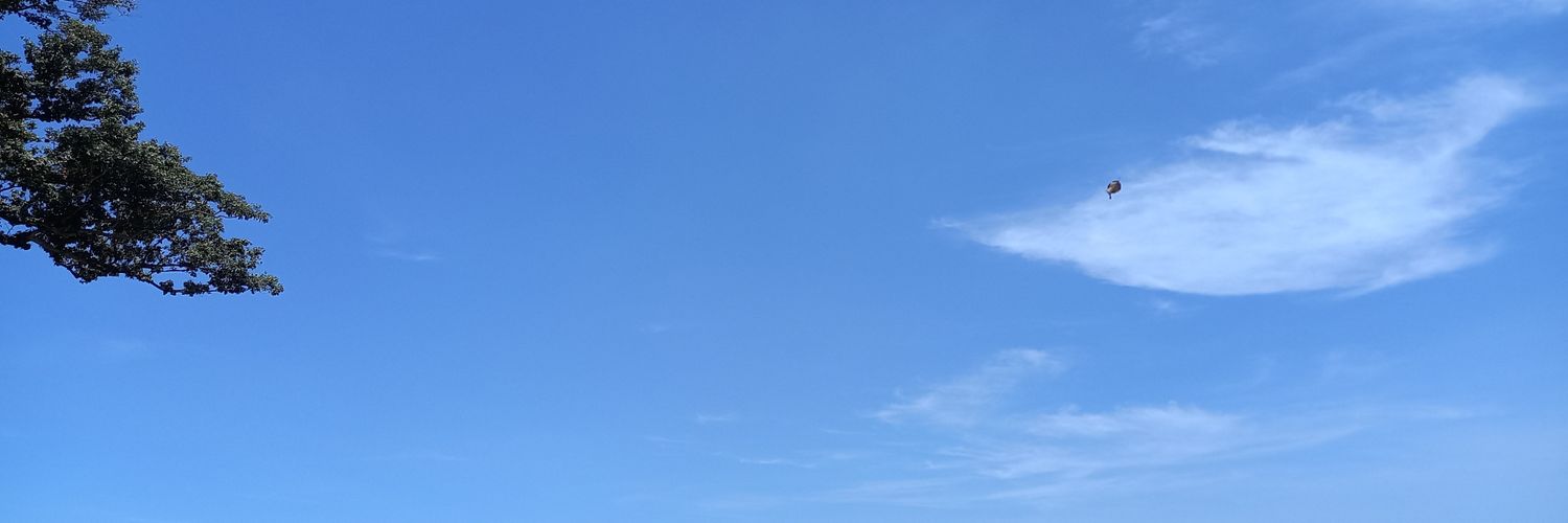 azelein's profile banner image