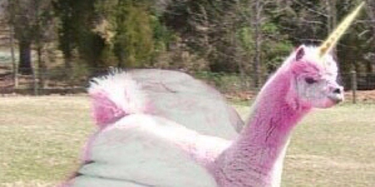 crayonsarecandy's profile banner image
